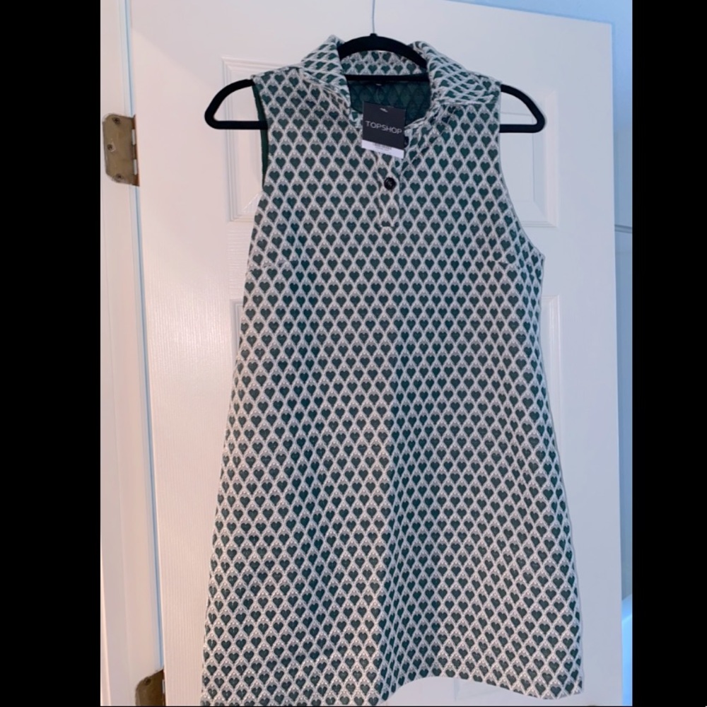BRAND NEW Topshop swing dress 🐍